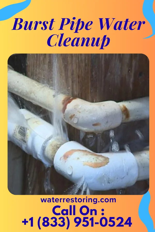 Burst Pipe Water Cleanup in Ceredo, WV