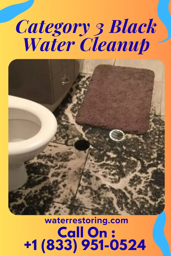 Category 3 Black Water Cleanup in Ceredo, WV