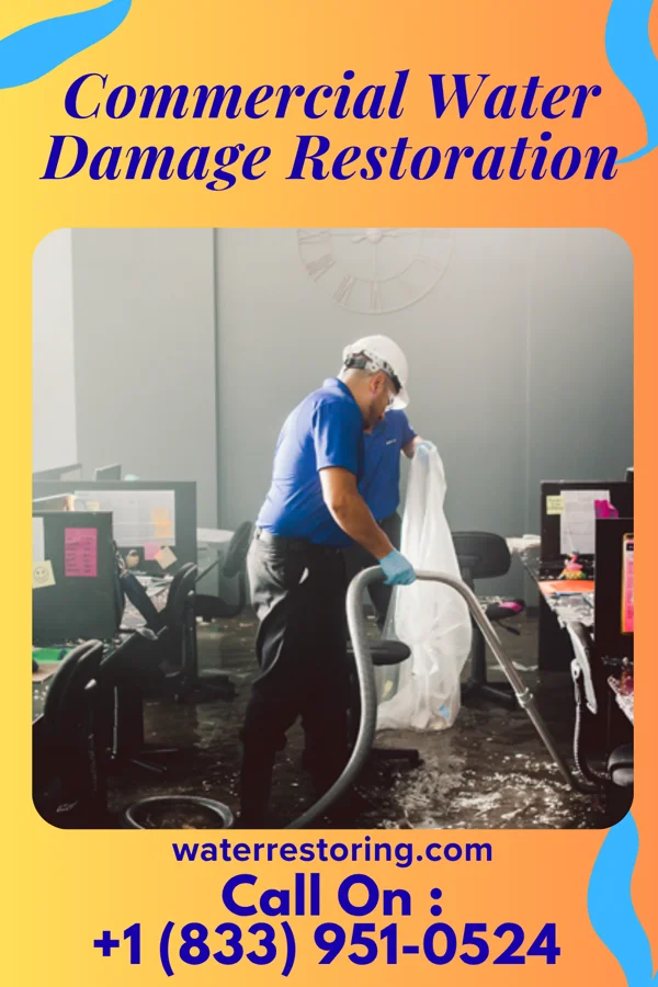 Commercial Water Damage Restoration in Ceredo, WV