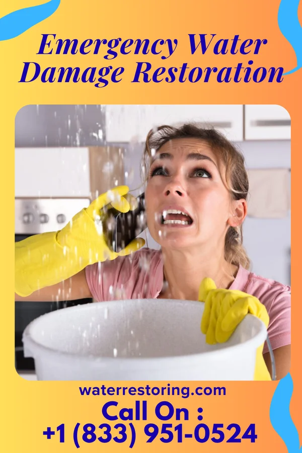 Emergency Water Damage Restoration in Ceredo, WV