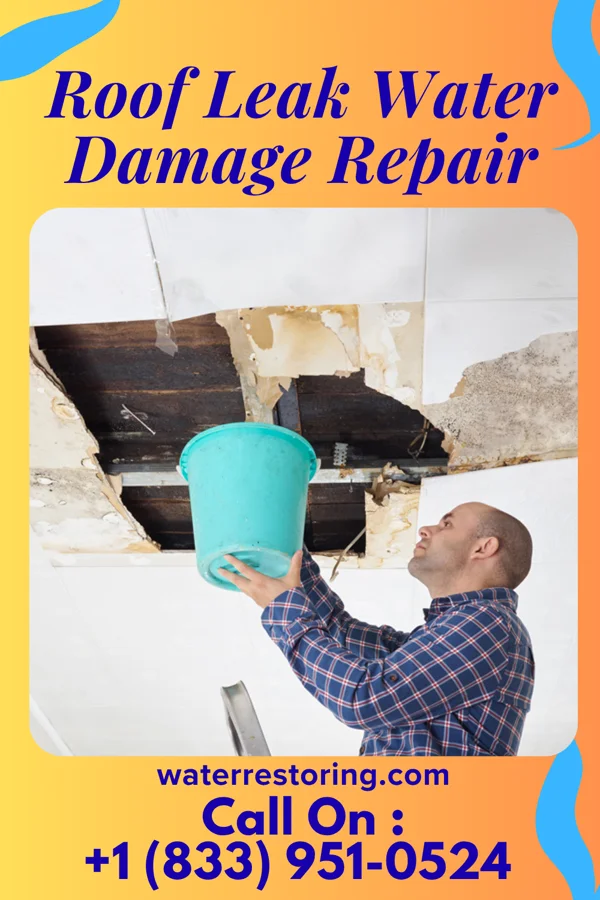 Roof Leak Water Damage Repair in Ceredo, WV