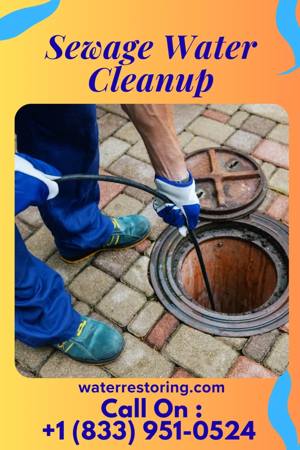 Sewage Water Cleanup in Ceredo, WV